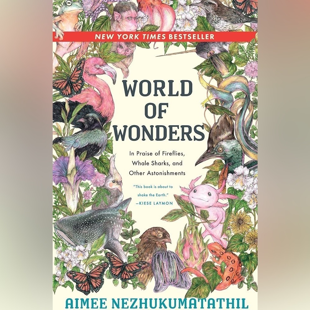 World of Wonders Book